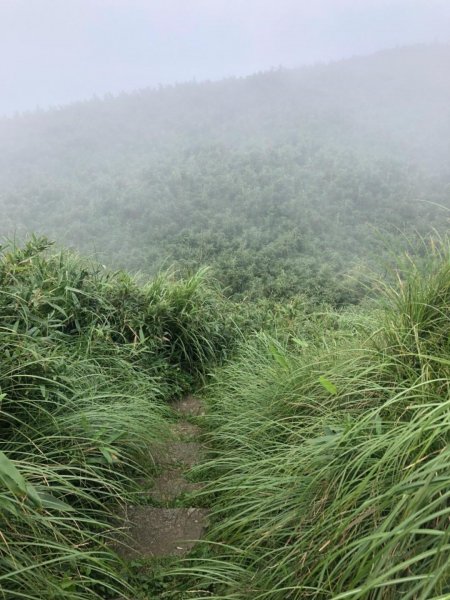 大屯主峰南峰20190727637366