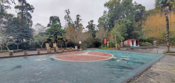 2025-01-18頂湖步道2694219