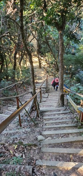 2021-12-04南觀音山步道1538214