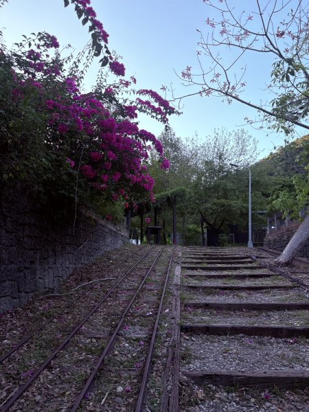 2025.10.10_碧湖步道2910160