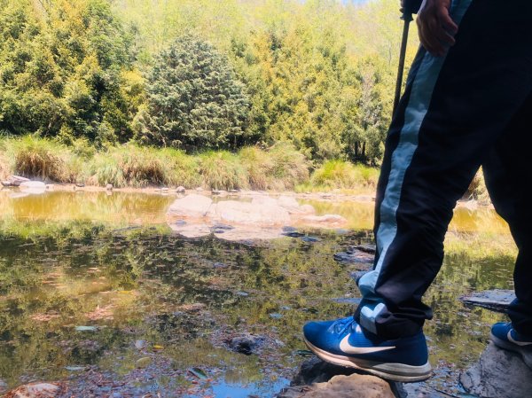 1090413中之關天池-初嚐梅子雞940904