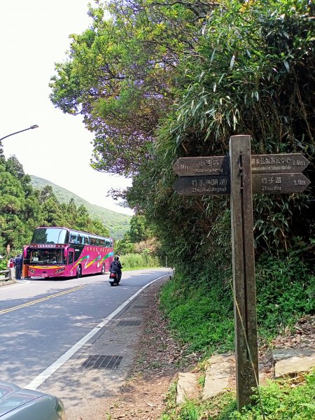 環七星山人車分道、百拉卡公路人車分道【走遍陽明山】2107379