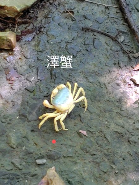 西阿里關山2823110