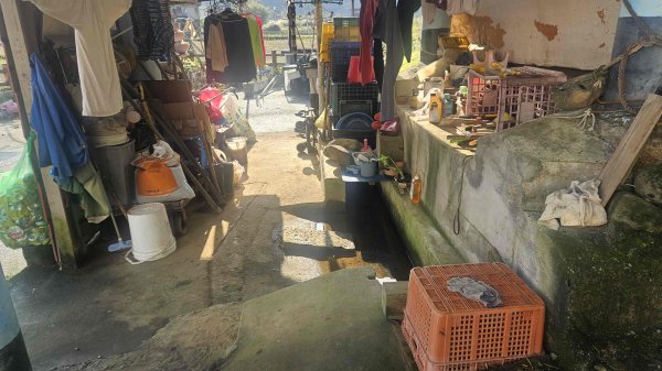 20251210萬里加投山-芎蕉坪古道-北八斗山東南峰-北八斗山-夏綠蒂山-神主嶺-陳明故居