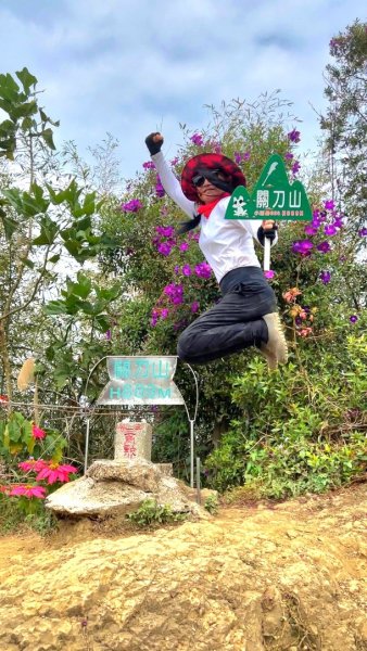 小百岳關刀山889m+銅鑼杭菊1924089