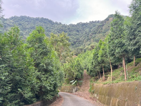 台中市太平區小百岳NO.44暗影山（3-4181）（北稜登山口）2356561