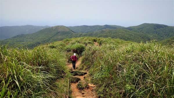 台北最後的淨土磺嘴山自然保護區健行趣1340974