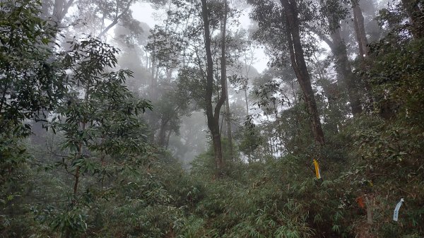 埔里六秀老三關刀山主峰西峰 西關刀山北峰1286401