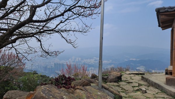 20240308汐止大尖山步道-四分尾山-耳空龜山2448634