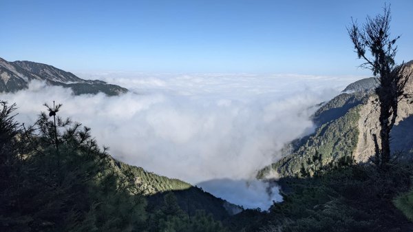 北二I型缺羊頭2421944