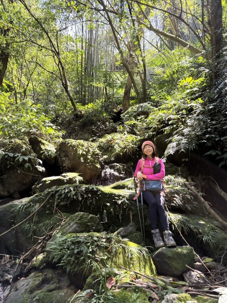 金面山-202503192770614