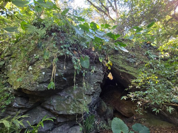 雪山坑登山步道~巨人之手2948733