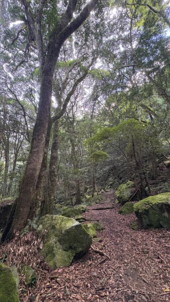 加里山東南峰2845042
