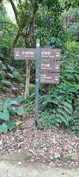 坑內坑森林步道2698772