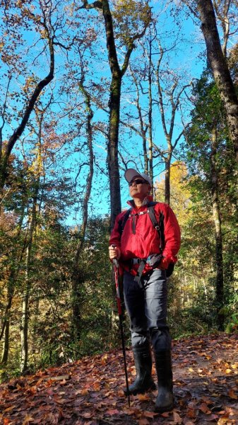 熱血一日霞喀羅賞楓之旅2784998