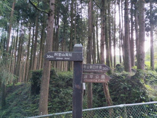 小百岳(59)-大塔山-202209251878811