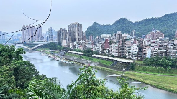微笑山⛰️線-大棟-二格山-五分山-天上山-鳶山💎12條步道完成💙2834156