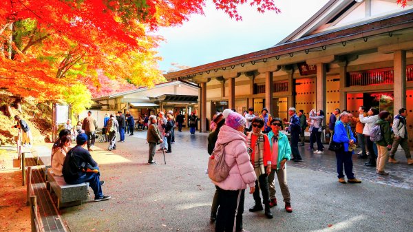 岩手縣中尊寺2930150