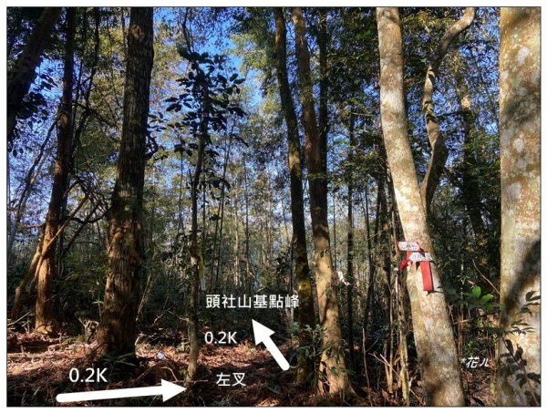 頭社山主峰及基點峰(社頭山)2681594