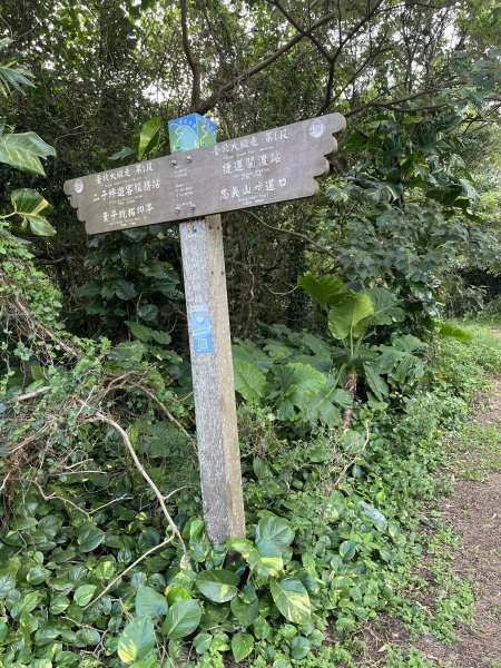 2024_1020 貴子坑親山步道2634240