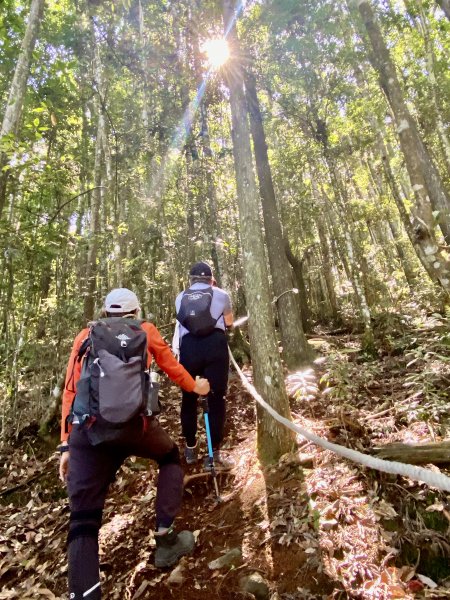 醜崠山漫步走    2022/7/211780384