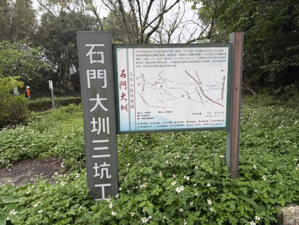 [樟之細路_第一大段RSA05] 2026_0329 石門大圳3027187