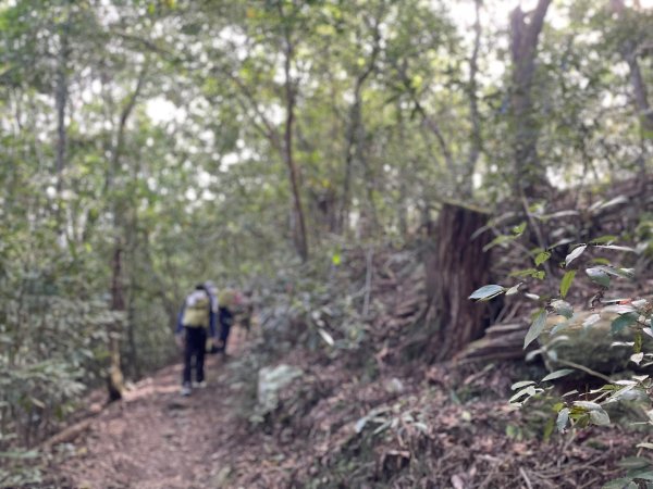 谷關七雄｜一日東屋縱走2923837