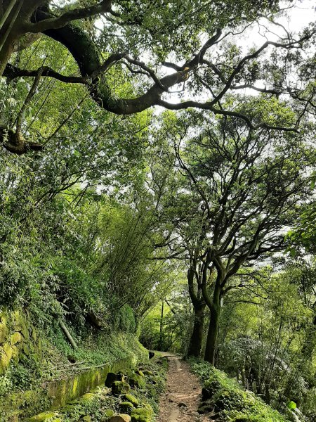 走遍陽明山：擎天崗系｜景遠心自闊，潺潺溪水聲洗去一身憂2113811