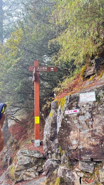 東埔-排雲-玉山西峰-玉山主峰2753221