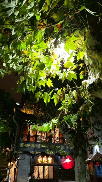 2025/11/8日鳳凰古城2941050