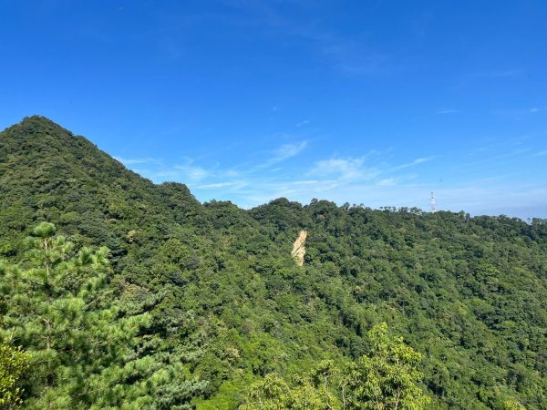 20230916_五寮尖2762657