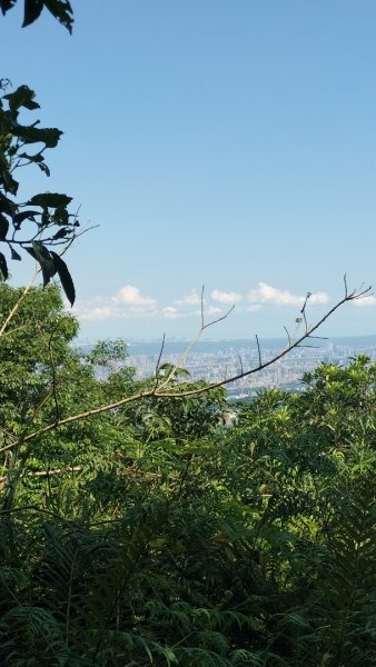 銀河-楣子寮溪-肆方巖-四面頭山-十六分山-三玄宮山-鵝角格山-樟湖-銀河2544628