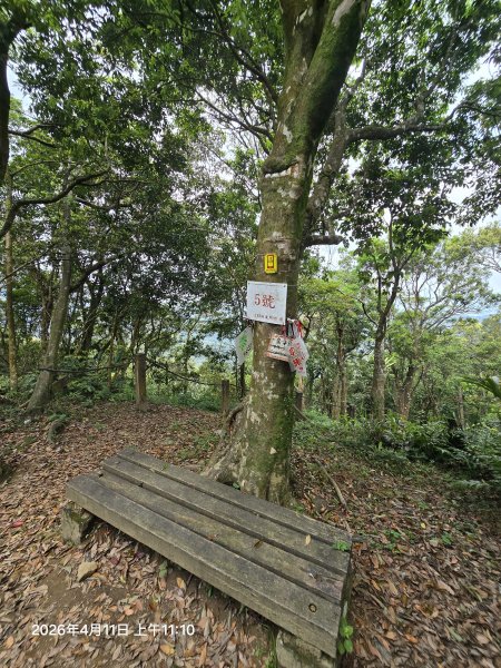 2026-04-11微笑山線：【二格山系】筆架連峰段3034593