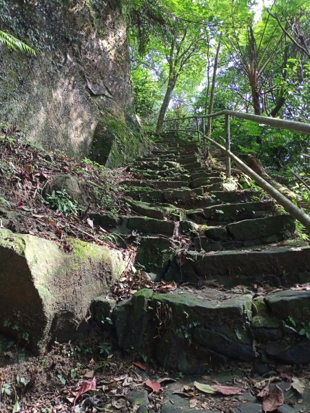 【山系野遊】汐止秀峰瀑布、龍船洞步道1119626