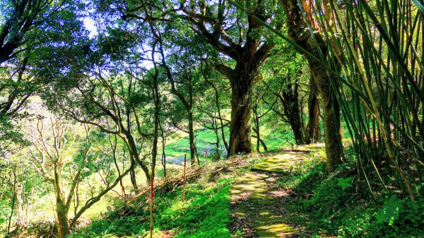 經營時間的早餐店2993559