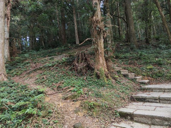 2023.12.27 東眼山2838849