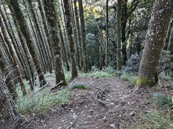 北一段(02/14)多加屯前峰2025_0906~132885109