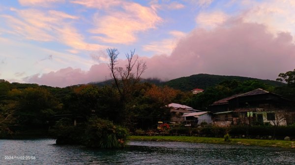 雲山水花鳥蝶-天龍國阿伯的日常 #翠鳥2641667