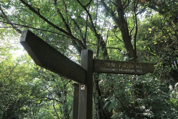 小百岳NO12  汐止大尖山 縱走海拔641公尺 四分子尾山2229065