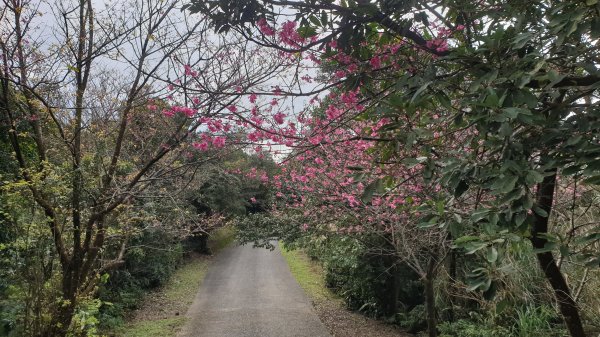 大尖山四分尾山1067373