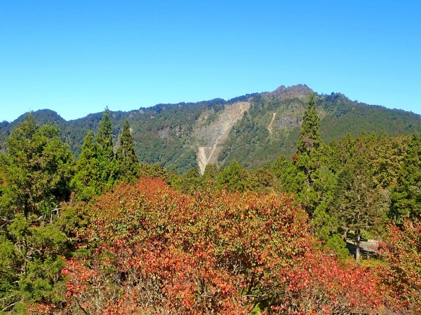 再訪眠月線 2019/11/23-24753031