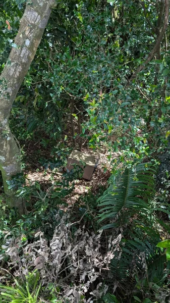 汐止大尖山3090605