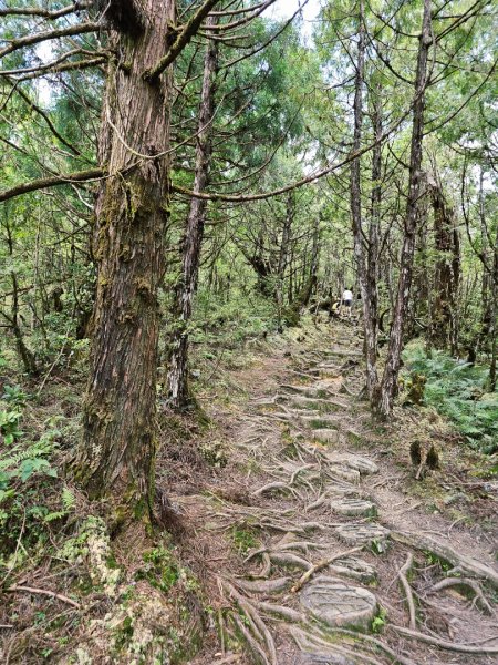 翠峰湖環山步道-(宜蘭)臺灣百大必訪步道2827559