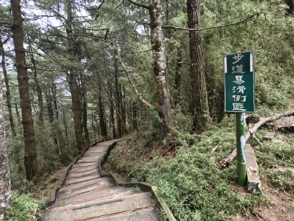 [玉山尋寶任務-08/12] 2025_0824 鹿林山步道_鹿林前山2870926