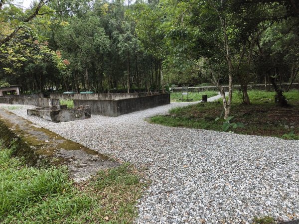 [漫遊縱谷 愛在花東-08/10] 2025_1012 林田山林業文化園區步道2913525