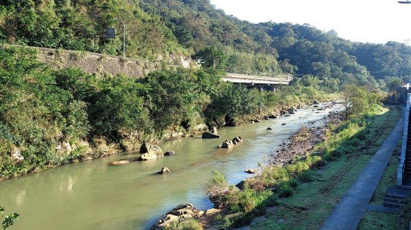 蛇來運轉之蛇年爬蛇山  蛇子形古道-三爪子坑山-蛇子崙山O型2783954