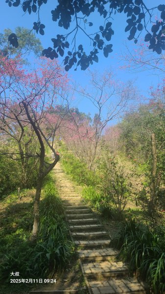 2025-0211造鎮_太極嶺_五城山小段攀爬路線2710723