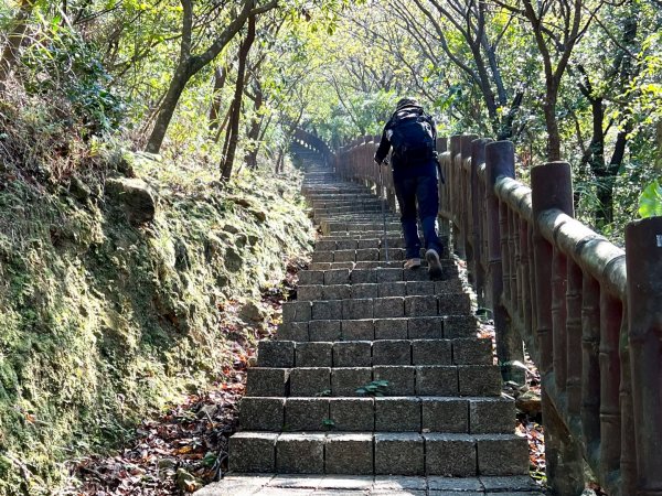 石尾步道環走黃金三稜上燦光寮山1865891