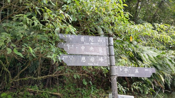 孝子山慈母峰普陀山1117059