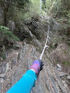 20250524 畢祿山單攻2796493